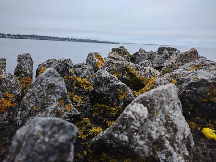 Mossy rocks in newport, rhode island
