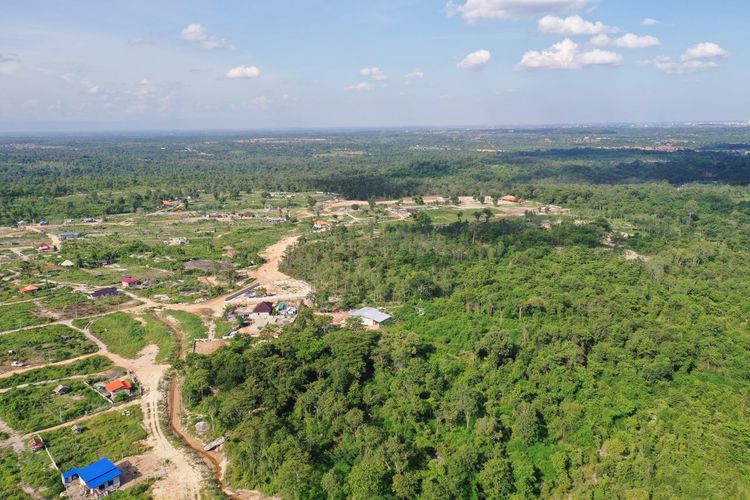 High angle view of trees on landscape against sky