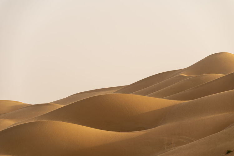 Desert dunes in abu dhabi , liwa