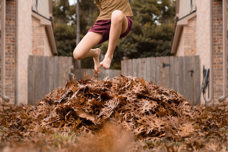 Low section of boy jumping on autumn leaf outdoors