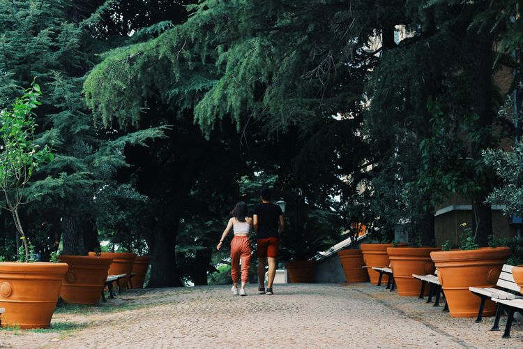 Rear view of couple walking at park