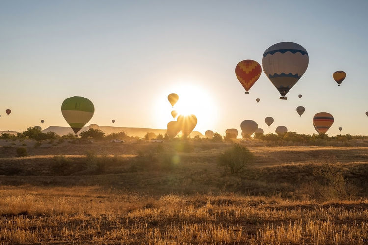 Colorful hot air balloon flying morning and sunrise in cappadocia field 