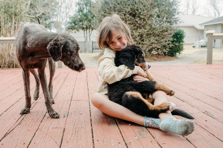 Adorable cute child girl sitting with domestic dogs and hugging little bernese puppy on porch.