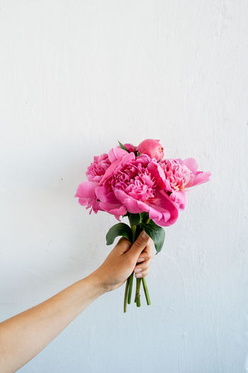 Close-up of hand holding bouquet against white background