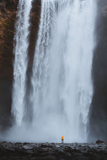 Scenic view of waterfall in forest