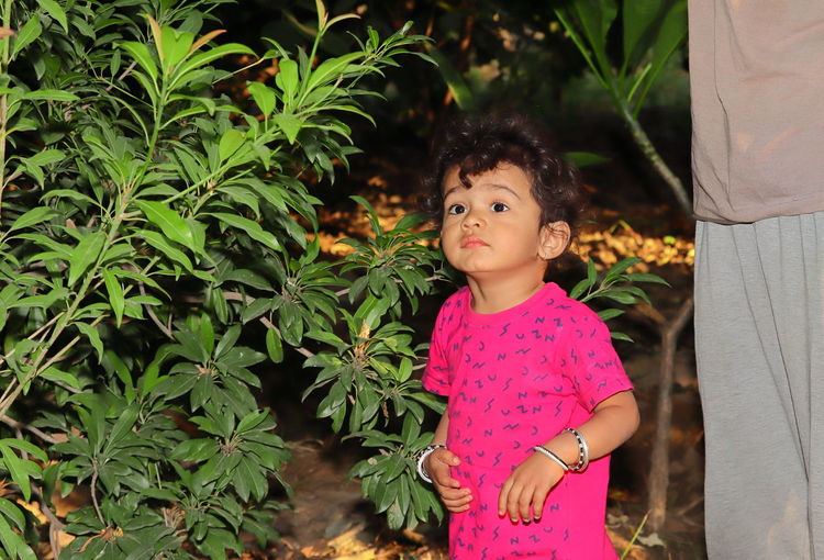 A beautiful indian child smiles at the chiku plant in the garden, indian child portrait in garden