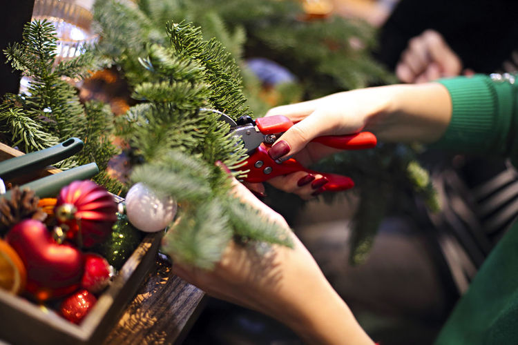 Midsection of woman holding christmas tree