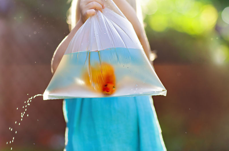 Close-up of girl holding torn plastic bag with fish and water
