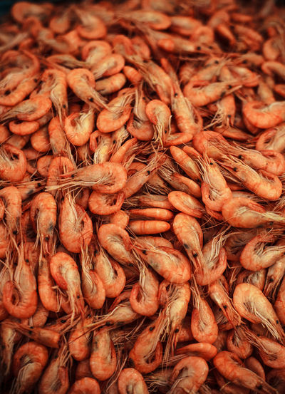 Full frame shot of shrimps for sale at market