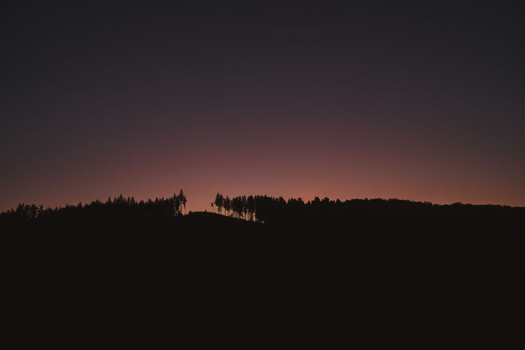 Silhouette trees against sky during sunset