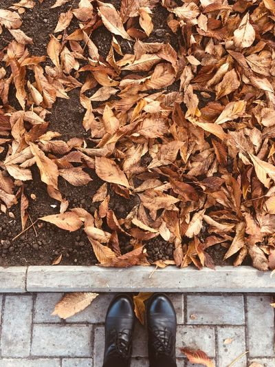Low section of person standing on autumn leaves