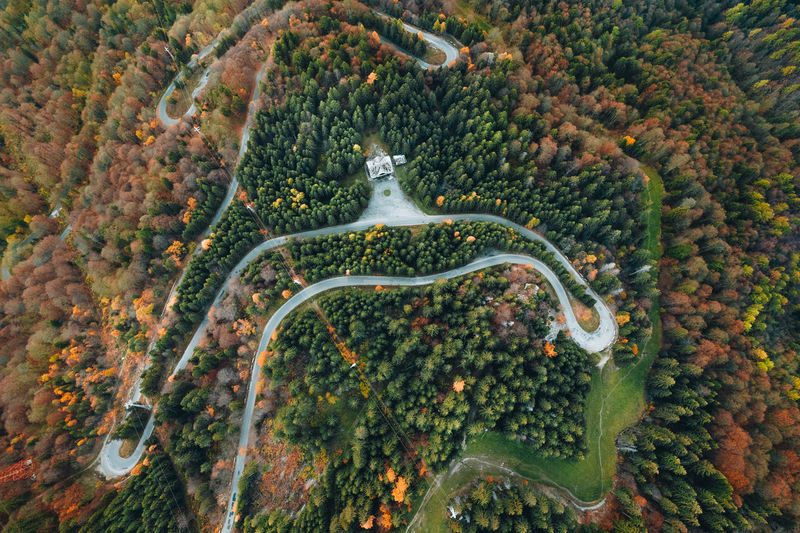 High angle view of road amidst trees