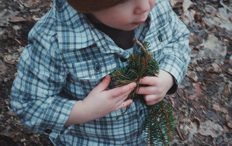 Close-up of boy holding twigs