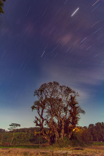 Low angle view of star trails against sky