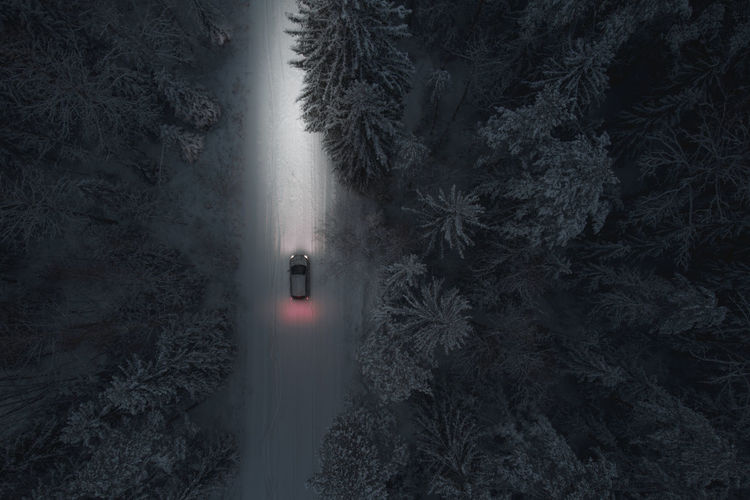 The car drives at night on a snowy forest road. headlight illumination only. vehicle topics