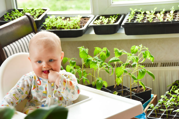 Portrait of cute baby girl in potted plant