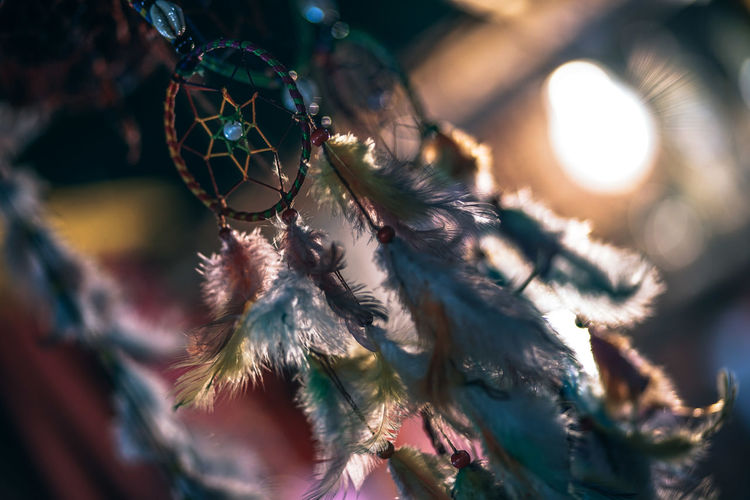 Low angle view of dreamcatchers hanging for sale at market stall