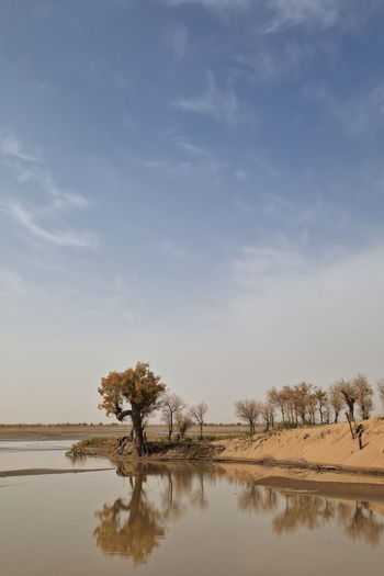0330 keriya river supplies several oases and flows north into the taklamakan desert. xinjiang-china.