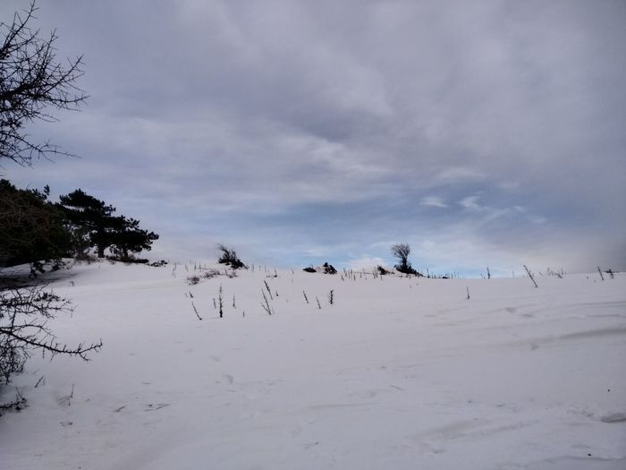 Scenic view of snow covered land against sky