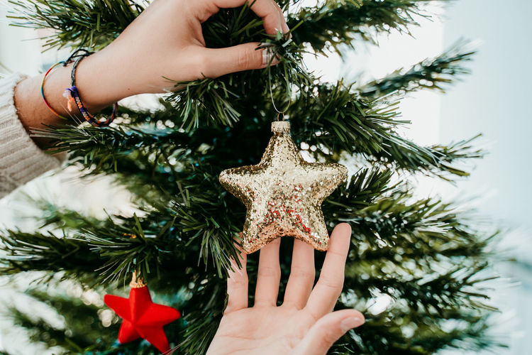 Midsection of person holding christmas tree