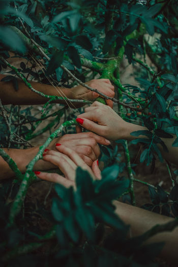 MIDSECTION OF WOMAN TOUCHING PLANT