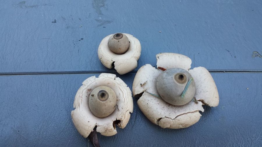 Close up of objects