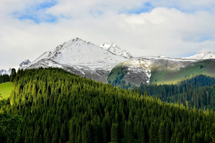 Qiongkushtai is a small kazakh village located in the isolated valley of the tianshan mountains.