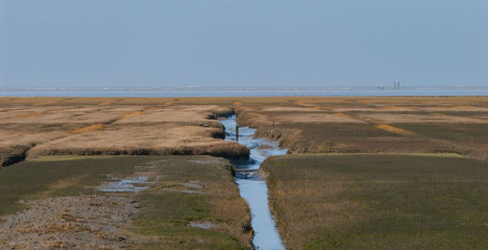 Priel and wetland on the north sea island of sylt
