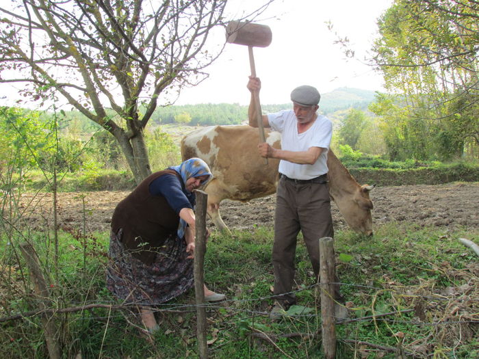 Man hammering wooden post held by woman on field