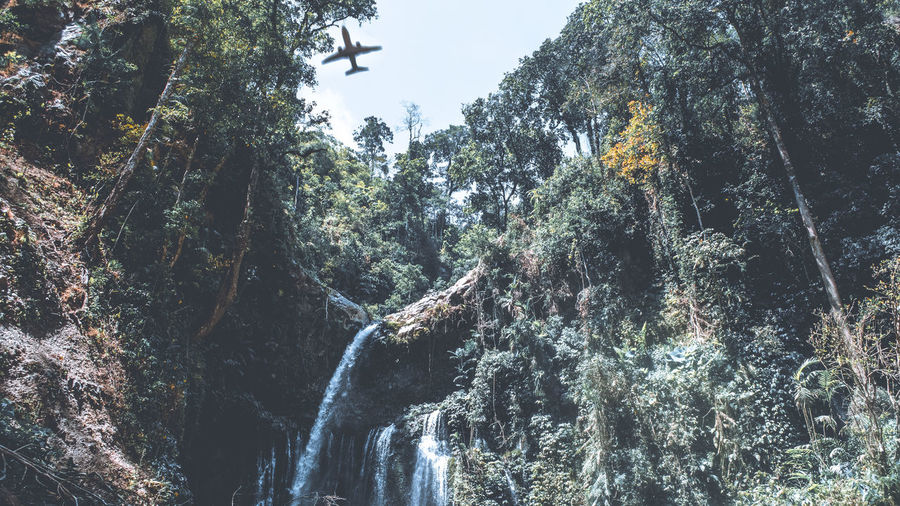Low angle view of waterfall amidst trees in forest