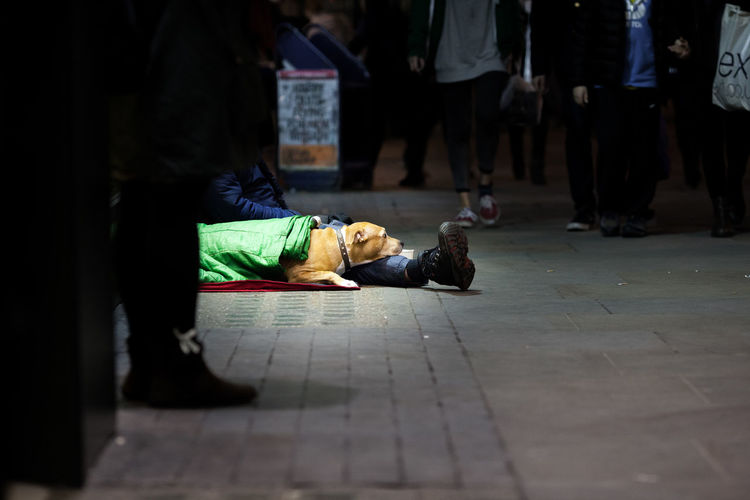 Beggar and dog on city street