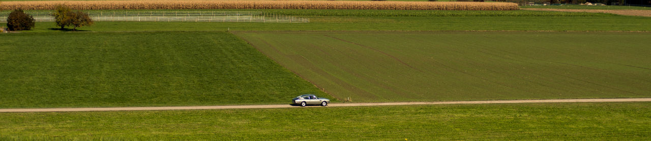 Car on road amidst field
