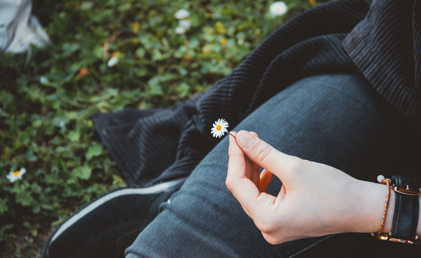 Cropped image of woman holding flower on field