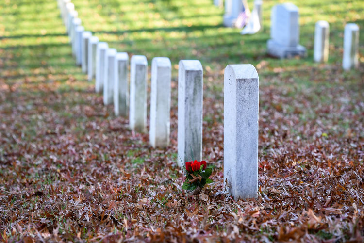 Arlington cemetery field