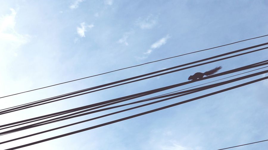 Low angle view of cables against sky
