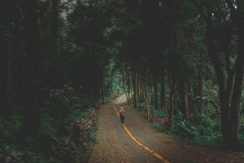 Woman walking on road amidst trees in forest
