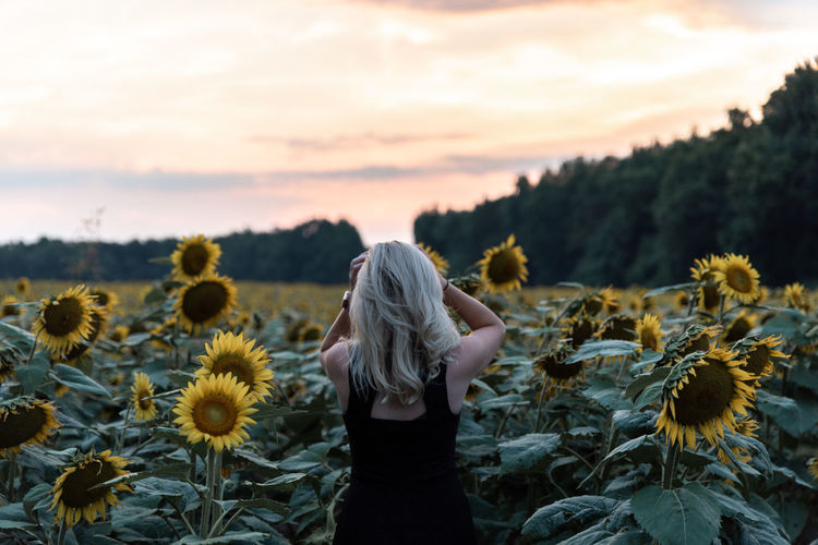 Rear view of young woman standing at sunflower during sunset