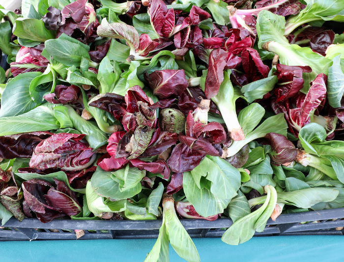 Background of fresh lettuce and red radicchio for sale from the greengrocer 
