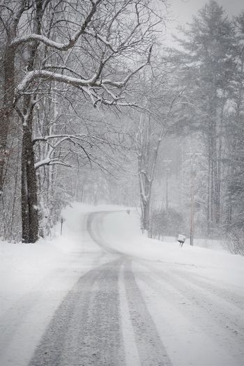 Country road in winter