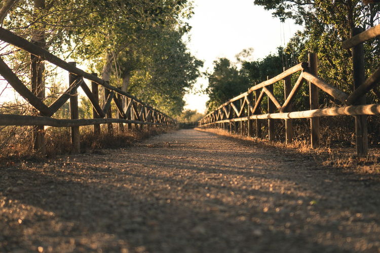 Surface level of footbridge in forest