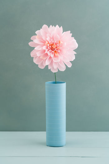 Close-up of pink flower in vase on table