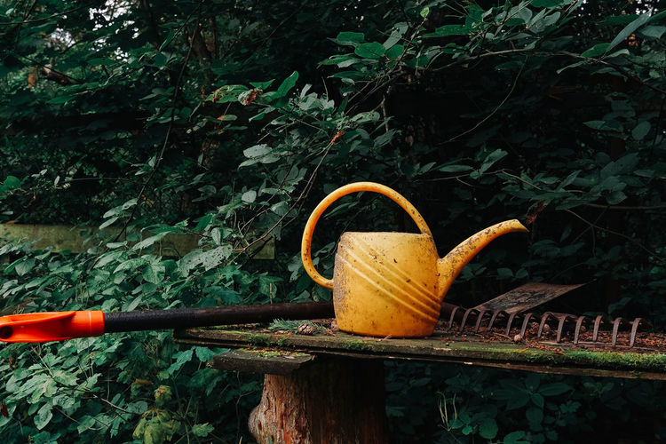 Old yellow watering can.