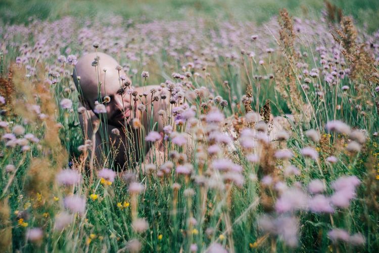 Flowers in field
