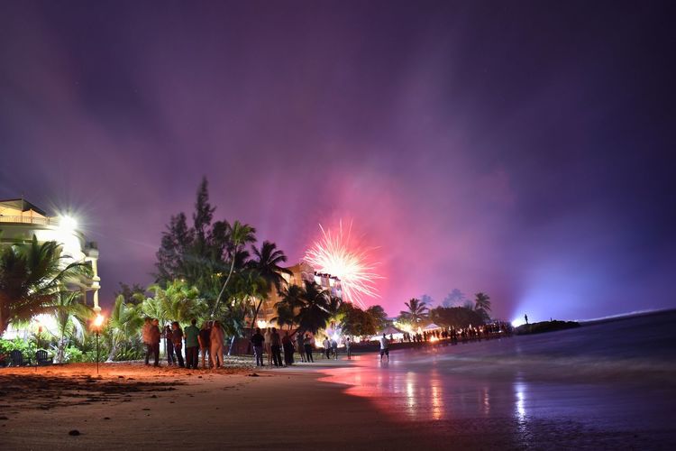 Panoramic shot of illuminated trees on beach against sky at night