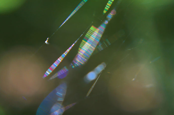 Blurred motion of abstract light pattern
