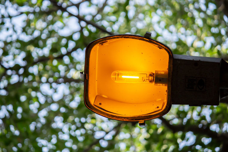 Low angle view of yellow lighting equipment hanging from tree