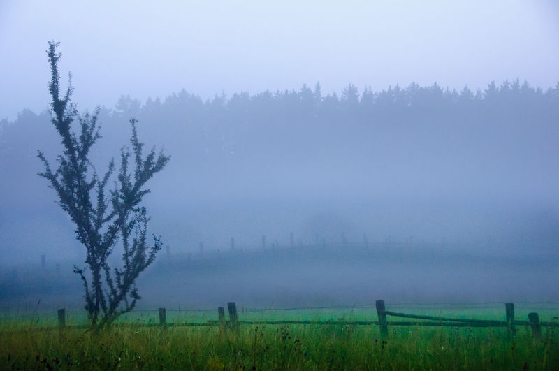 Scenic view of field against sky during foggy weather