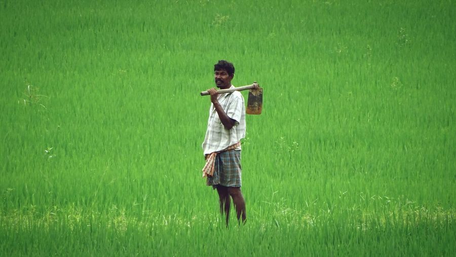 Portrait of farmer with shovel standing on rice farm