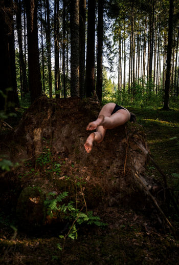 Wild wild woods
