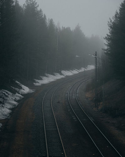 View of railroad tracks by trees